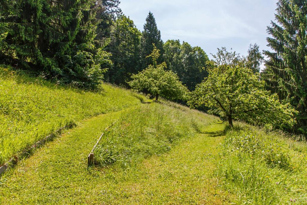 Caritas Tagungszentrum Fribourg im Breisgau Extérieur photo